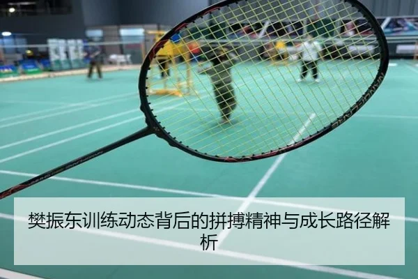 樊振东训练动态背后的拼搏精神与成长路径解析