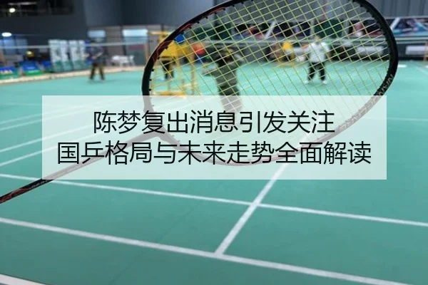 陈梦复出消息引发关注 国乒格局与未来走势全面解读