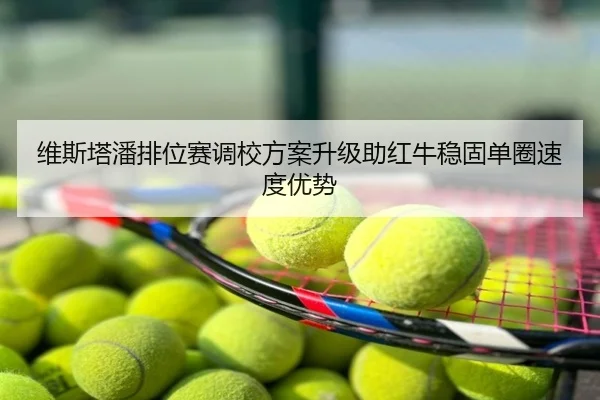 维斯塔潘排位赛调校方案升级助红牛稳固单圈速度优势