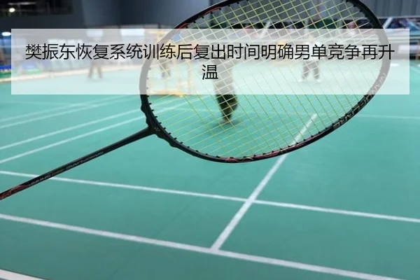 樊振东恢复系统训练后复出时间明确男单竞争再升温